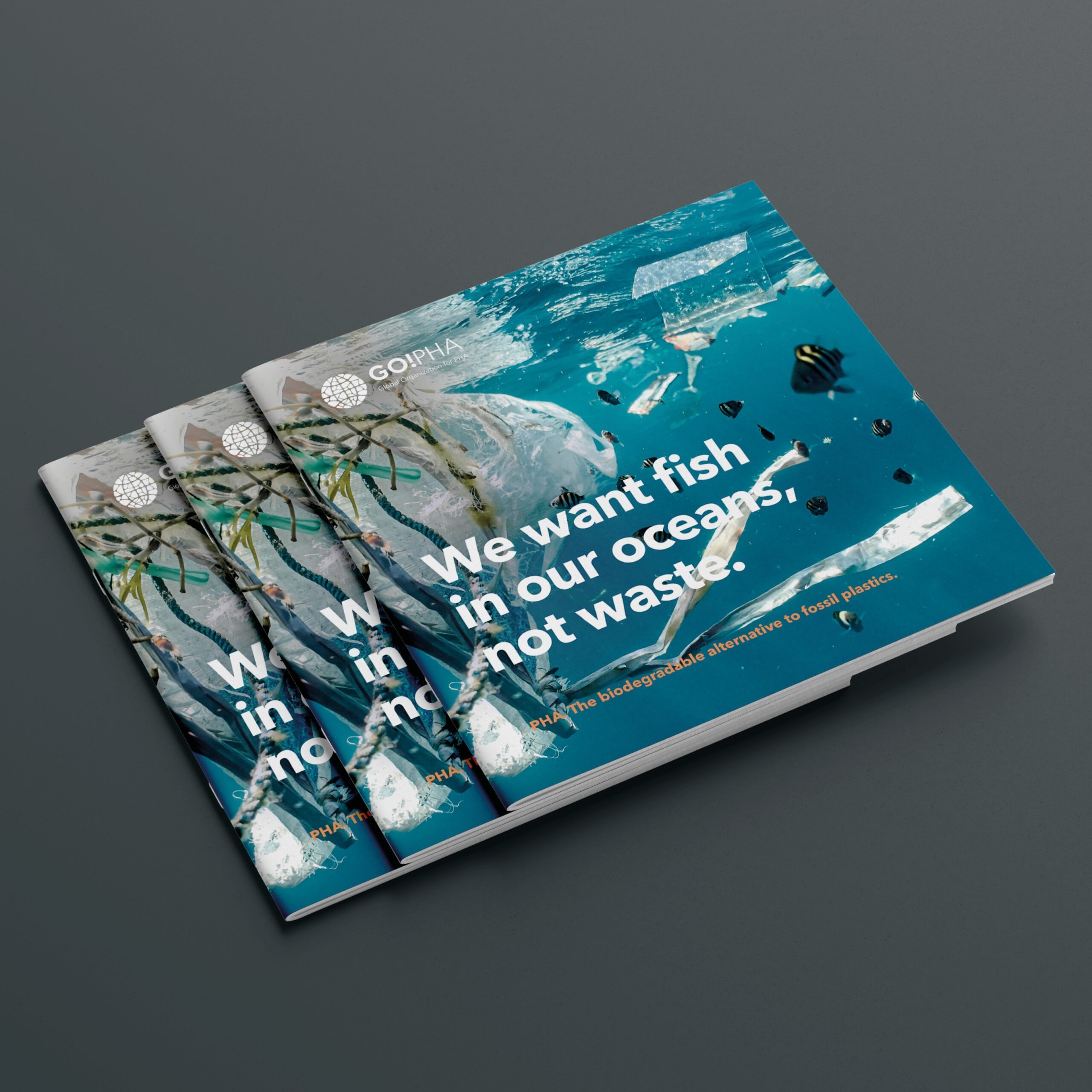 GoPHA brochure